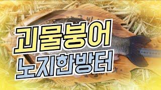 괴물붕어 오짜 사짜 한판승부 / 노지 한방터 괴물을 만나다