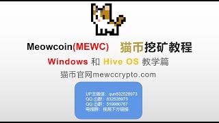 Meowcoin(MEWC) mining 喵币 猫币window和hive OS挖矿教程