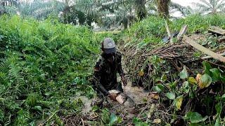 DAPAT IKAN PULUHAN KILO DI BAWAH SEMAK-SEMAK RUMPUT YANG SANGAT TEBAL