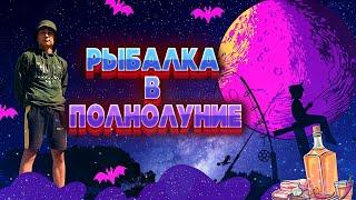 РЫБАЛКА В ПОЛНОЛУНИЕ! ПРОВЕРКА РЫБАЦКИХ ПОВЕРИЙ!