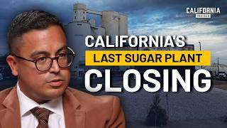 California’s Last Sugar Beet Plant Is Closing—What’s the Impact on Agriculture? | Gil Rebollar
