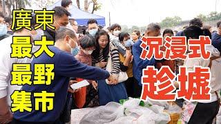 廣東順德最大集市居然賣鰐魚和蛇…沈浸式體驗廣東趕集風俗，嘗遍廣式街邊美食！Interesting custom and traditional street food in Canton, China