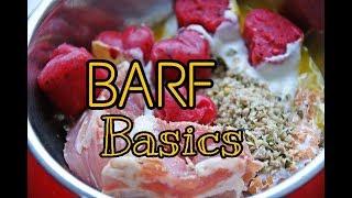 Barf Basics | Barf für Einsteiger | So ernähren wir unsere Hunde
