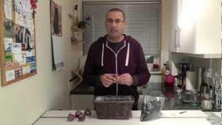 Amateur Gardening video: How to plant Hyacinth bulbs