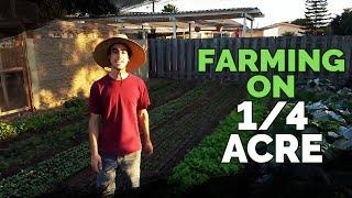 Quitting Your Job To Farm on a Quarter Acre In Your Backyard?