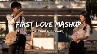 First Love Lofi MashupSlowed & Reverb️ Arijit Singh Love Mashup  Heart Touching Songs #lofi#love