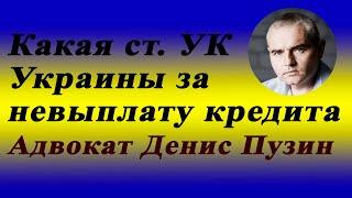 Существует ли уголовная ответственность за невыплату кредита - адвокат по кредитам Денис Пузин