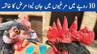 Cheapest Antifungal For Chickens | Mycosis in Poultry | Treatment of Fungus in Chickens | Dr. ARSHAD