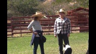 Judith Alvarez, an example of a female cattle farmer