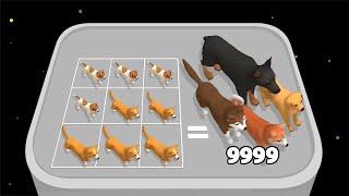 ANIMAL RACE ASMR - Dog Run & Merge Master! Merge Run 3D