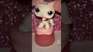 #lps #unboxing #littlestpetshop #asmr #funkopop #cute #littlestpetshops #kawaii