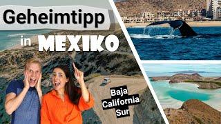 MEXIKO GEHEIMTIPP | Dieser Urlaub ist genial! (+ Rundreise-Route & Tipps)