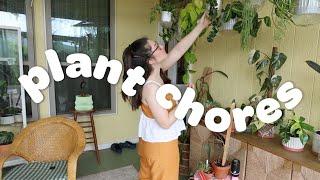 PLANT CHORES | water and yap with me about my plants 🪴