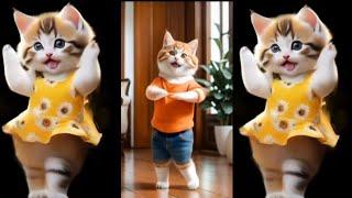 ️Cat videos funny dance Videos for catsv#funnycats #dancingcat #catlovers  @furry-cornerz