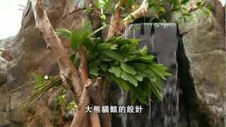 海洋公園好戲在後台第二集 -- 大熊貓的秘密生活 (HD 1080)