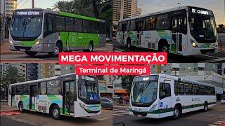 BOMBOU: SUPER MOVIMENTO de ÔNIBUS no TERMINAL de MARINGÁ