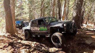 Signal Peak OHV Trail - Northern California