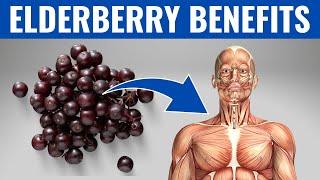 ELDERBERRY BENEFITS  - 13 Amazing Health Benefits of Elderberry️