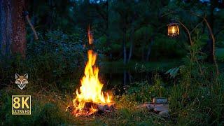  Enchanting Night Campfire by a Tranquil Lake with Lantern Ultimate ASMR