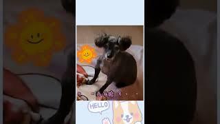 [서울중구가족센터]소중한 나의 가족들