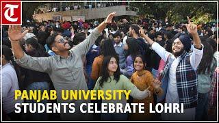 Panjab University students celebrate Lohri on campus