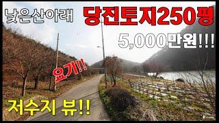 저수지보이는 당진싼땅 - 산자락아래 250평 [매매: 5,500만원]-싼임야 - 전원주택지, 주말주택지, 세컨하우스, 시골주택,  집짓고 살기좋은 곳