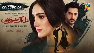 Dil Ik Shehar e Junoon - Episode 23 - 9th Jan 2025 - [ Aiza Awan & Alee Hassan Shah ] - HUM TV