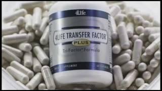 FACTORES DE TRANSFERENCIA  |  TRANSFER FACTOR  |  4Life - Transfer Factor  |  Español