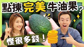 【點揀100%完美牛油果?】牛油果應該如何保存？是否越貴越好？黑筋可吃嗎？ 以後不再揀錯，慳很多錢!（如何挑選牛油果教學）