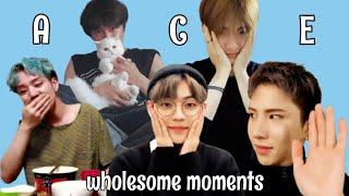 wholesome a.c.e moments for serotonin & laughs