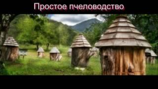 Пересадка пчёл в новый полистирольный улей Простое Пчеловодство 33