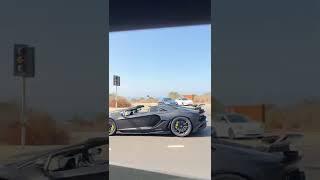 V12 Lambos RIPPING Down PCH! #lamborghini #svj