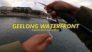 FISHING GEELONG WATERFRONT EP.26