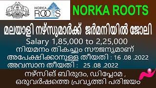 Norka roots job vacancies. Nursing post for Germany.#newinfo,#norkaroots,