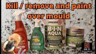 How to paint over mould and mildew - guaranteed results!