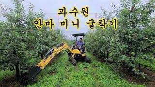 포항 사과 과수원 얀마 020/ 미니굴착기/ yk건기/ 짝윤