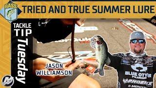 One of the most effective fishing lures with Jason Williamson