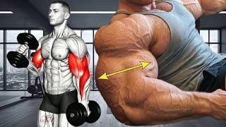 7 Best Mass Building Exercises For Bigger Arms ( Biceps and Triceps )