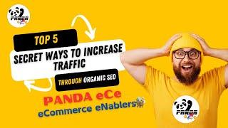 DIGITAL MARKETING | ORGANIC SEO | WEBSITE DEVELOPMENT | PANDA ECE