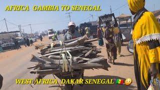 AFRICA DAKAR SENEGAL THE GAMBIA  MY EXPERIENCE IN AFRICA  ️