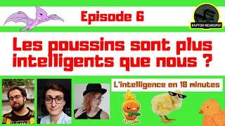 LES POUSSINS SONT PLUS INTELLIGENTS QUE NOUS ? (Raptor Neuropsy ep.6)