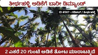 ID #567 - ತೀರ್ಥಹಳ್ಳಿ ತಾಲೂಕಿನಲ್ಲಿ ಅಡಿಕೆ ತೋಟಕ್ಕೆ ಬಂಡವಾಳ ಹೂಡಿದರೆ ಲಾಸ್ ಇಲ್ಲ...