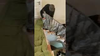 Кованые лестничные ограждения