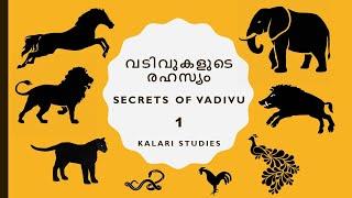 Kalaripayattu - Secrets of Vadivu Part 1 Basic Concepts വടിവുകളുടെ രഹസ്യം (Eng Subs)