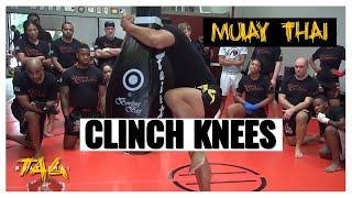 Muay Thai Clinch Knees with the Tear Drop Bag with Chris Aboy