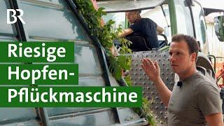 Landwirt und Tüftler erfindet große Maschine zur schonenden Ernte von Hopfen | Unser Land | BR