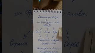Что такое ассортимент товара? В чем его важность?
