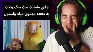 سعی کن نخندی #154 Try Not To Laugh