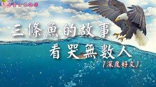 三條魚的故事，看哭無數人 ( 深度好文  )–––《心靈分享語錄》