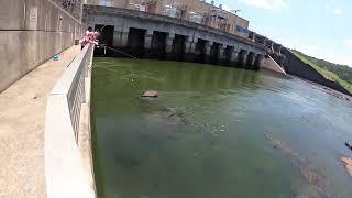 West Point dam, fishing, and facts about West Point Lake. ( sorry the volume is so messed up)